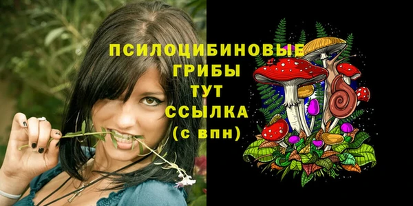 стафф Волоколамск