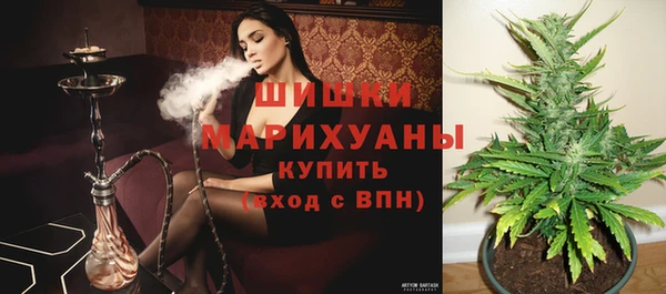 гидра Володарск