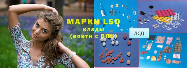 гидра Володарск