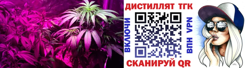 hydra   Губаха  Дистиллят ТГК гашишное масло 