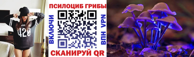 mega tor  Губаха  Галлюциногенные грибы Cubensis 